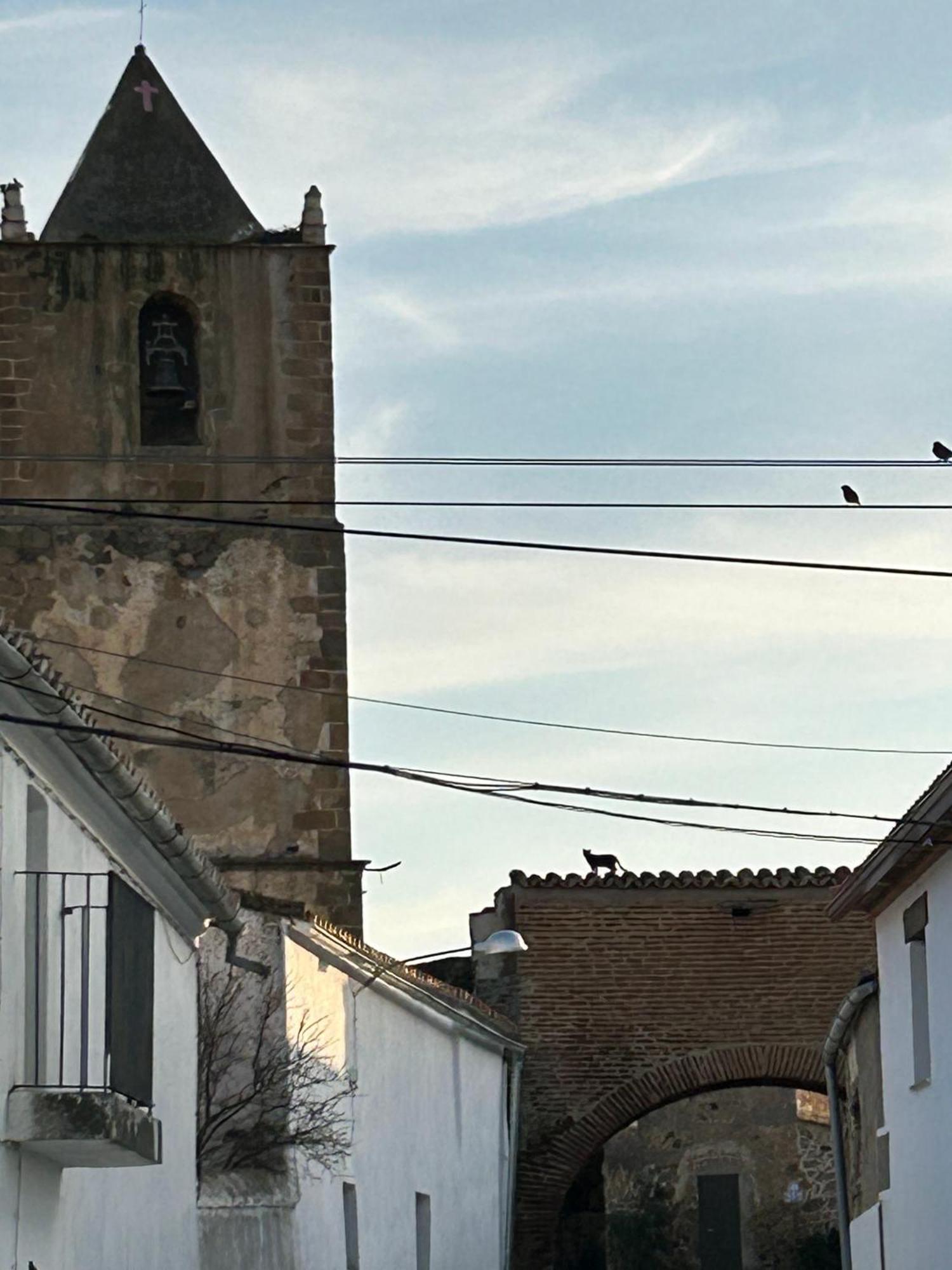 Casa Rural La Manzanilla Salvatierra de Santiago المظهر الخارجي الصورة