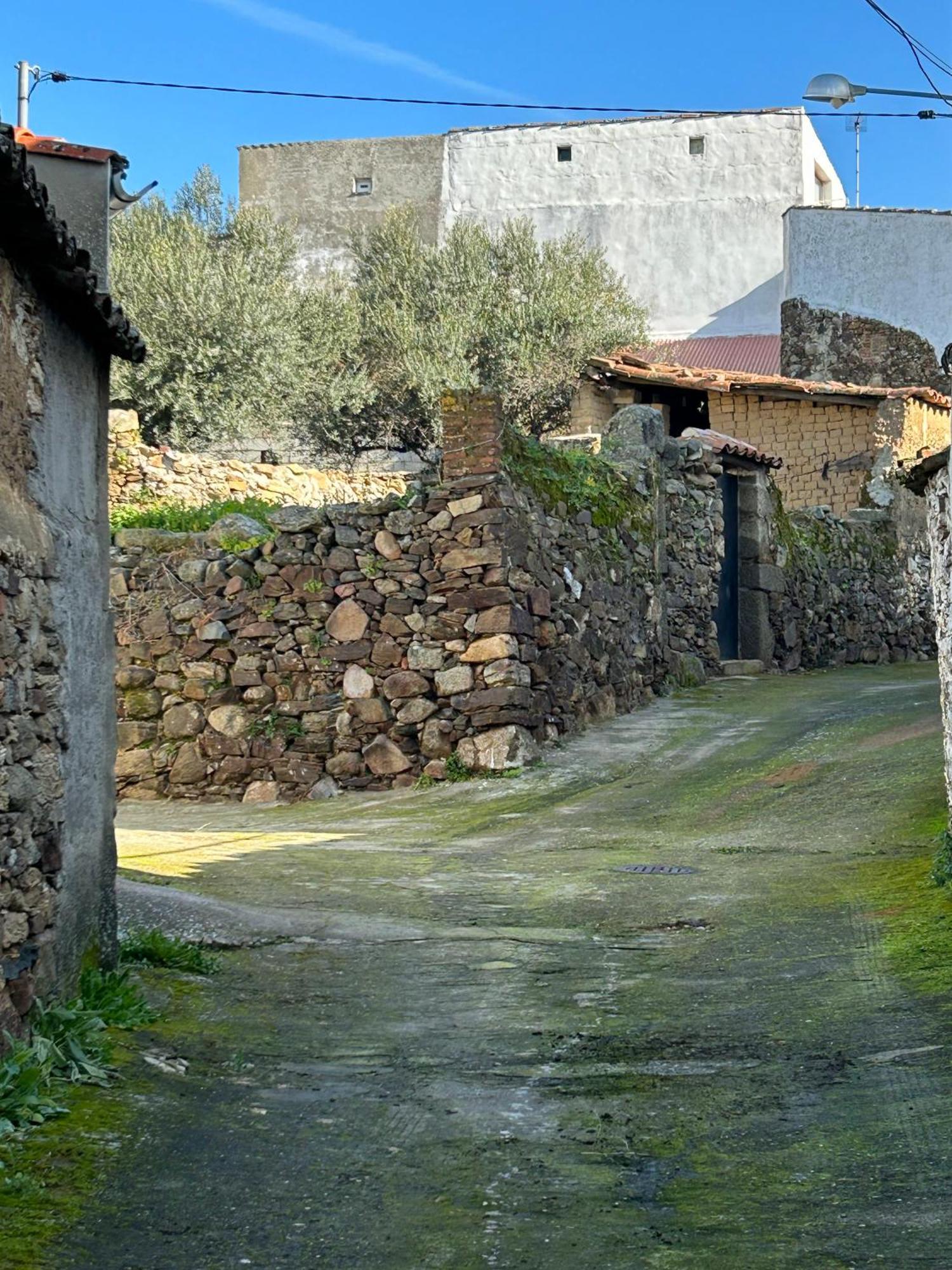 Casa Rural La Manzanilla Salvatierra de Santiago المظهر الخارجي الصورة